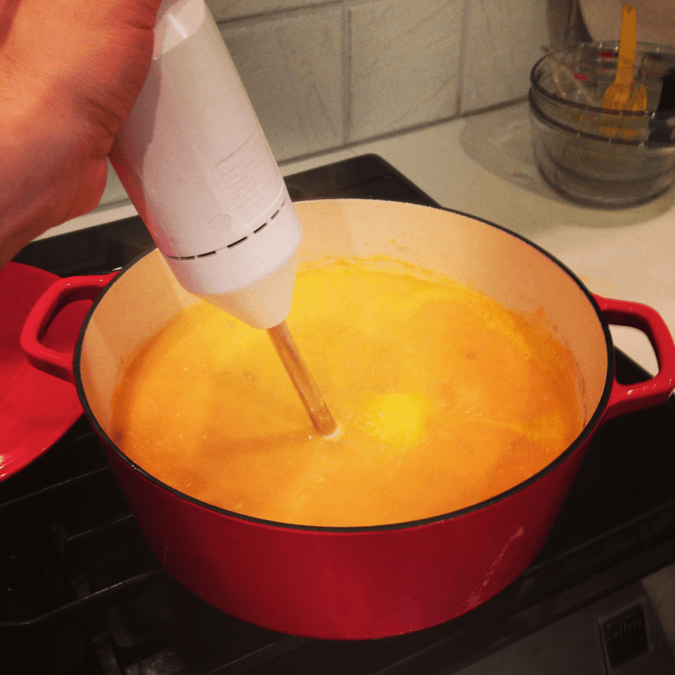 Immersion blender