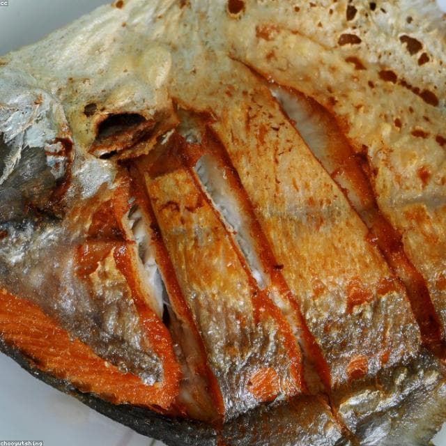 Fish fillet